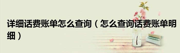 详细话费账单怎么查询（怎么查询话费账单明细）