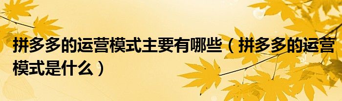 拼多多的运营模式主要有哪些(拼多多的运营模式是什么)