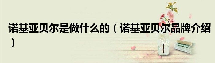 诺基亚贝尔是做什么的(诺基亚贝尔品牌介绍)